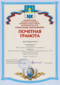 Победитель районного конкурса в номинации: "Синтезатор" - Балашов Никита